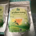 ชาอังกาบหนู (Barleria Prionitis Leaf Tea)