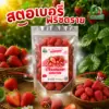 สตรอว์เบอร์รีฟรีซดราย ตราไร่กฤติยา