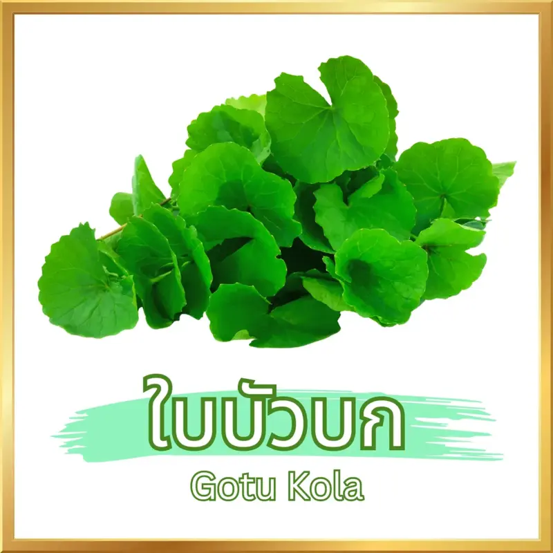 ใบบัวบก