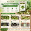 การผลิตกระเจี๊ยบเขียวฟรีซดราย