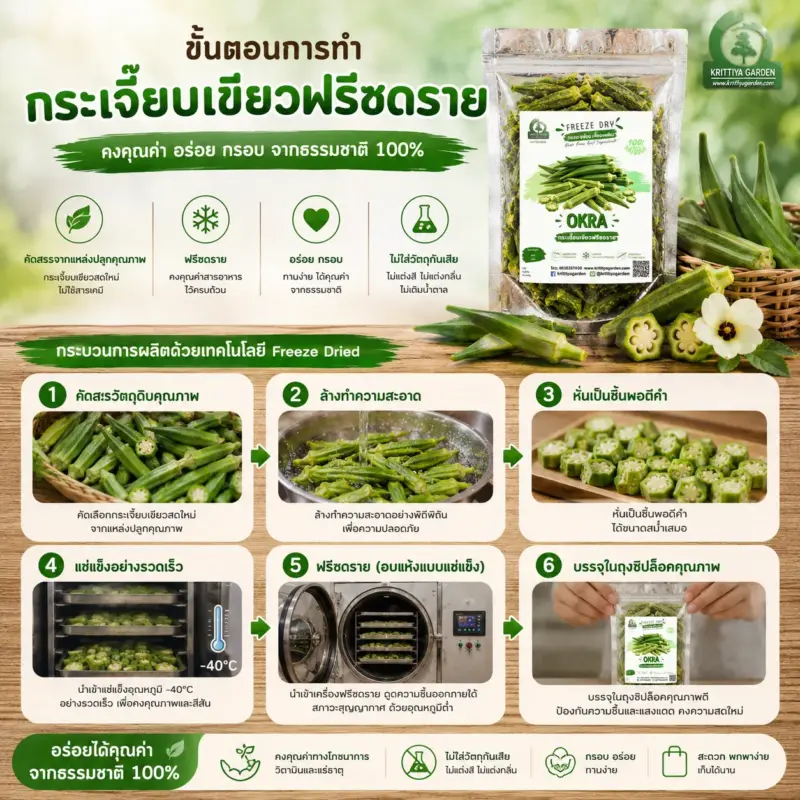 การผลิตกระเจี๊ยบเขียวฟรีซดราย