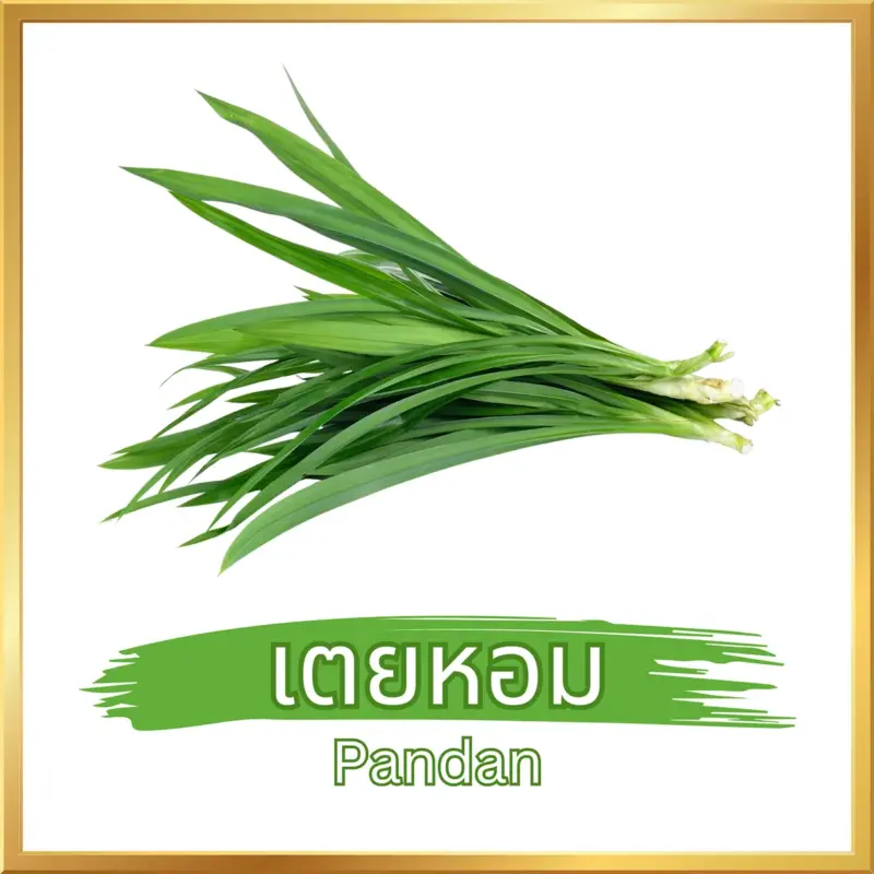 เตยหอม