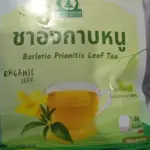 ชาอังกาบหนู (Barleria Prionitis Leaf Tea)