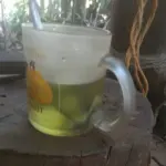 ชาใบหม่อนชาเขียว