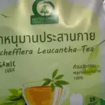 ชาหนุมานประสานกาย (Schefflera Leucantha Tea)