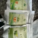 ชาสเปียร์มินต์ (Spearmint Tea)