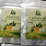 ชาใบย่านาง (Tiliacoro Triandra Tea)