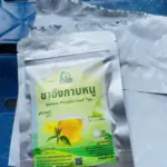 ชาอังกาบหนู (Barleria Prionitis Leaf Tea)