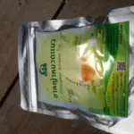 ชาหญ้าหนวดแมว (Orthosiphon Aristatus Tea)
