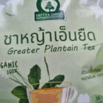 ชาหญ้าเอ็นยืด (Plantago Major, ผักกาดน้ำ)