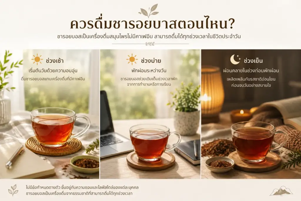 ช่วยเวลาในการดื่มชารอยบอส Rooibos Tea